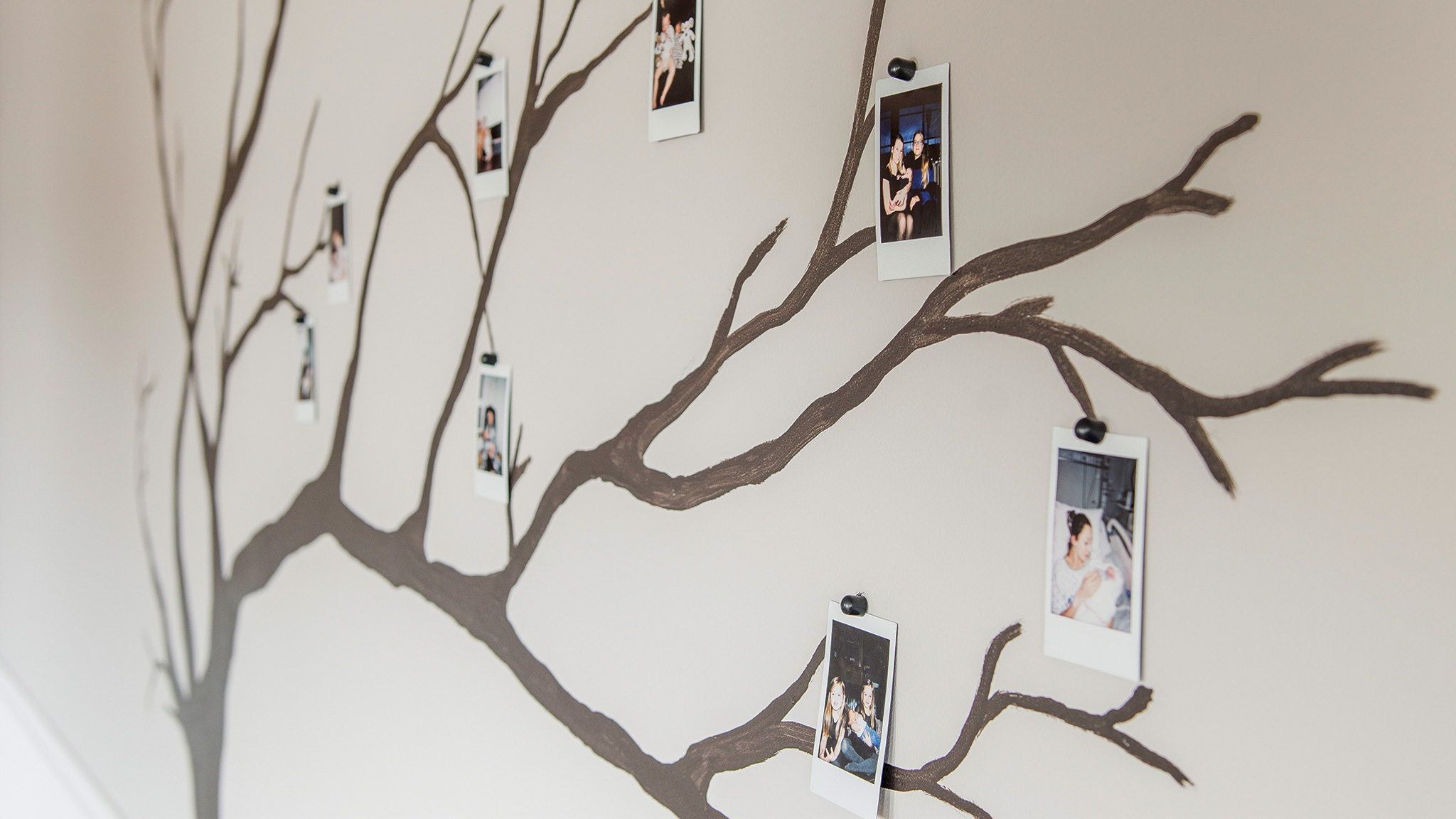 Chambre De Bebe Pres De Mon Arbre Levis Chambre De Bebe Pres De Mon Arbre Levis
